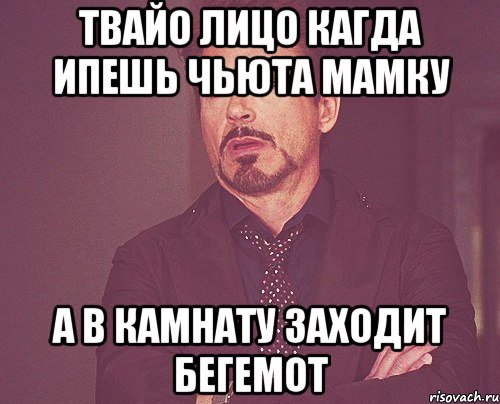 твайо лицо кагда ипешь чьюта мамку а в камнату заходит бегемот, Мем твое выражение лица