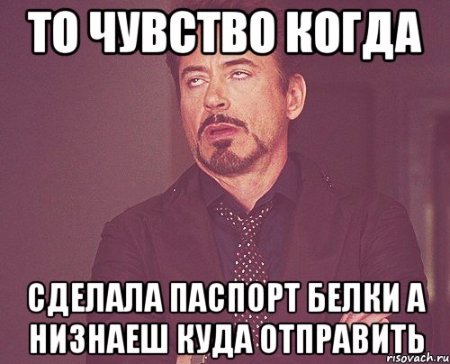 то чувство когда сделала паспорт белки а низнаеш куда отправить, Мем твое выражение лица