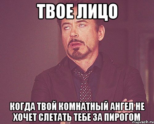 твое лицо когда твой комнатный ангел не хочет слетать тебе за пирогом, Мем твое выражение лица