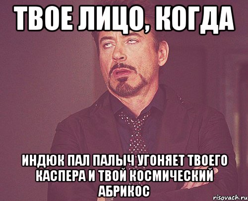 твое лицо, когда индюк пал палыч угоняет твоего каспера и твой космический абрикос, Мем твое выражение лица