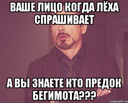 ваше лицо когда лёха спрашивает а вы знаете кто предок бегимота???, Мем твое выражение лица