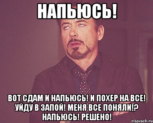 напьюсь! вот сдам и напьюсь! и похер на все! уйду в запой! меня все поняли!? напьюсь! решено!, Мем твое выражение лица