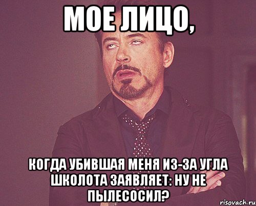 мое лицо, когда убившая меня из-за угла школота заявляет: ну не пылесосил?, Мем твое выражение лица