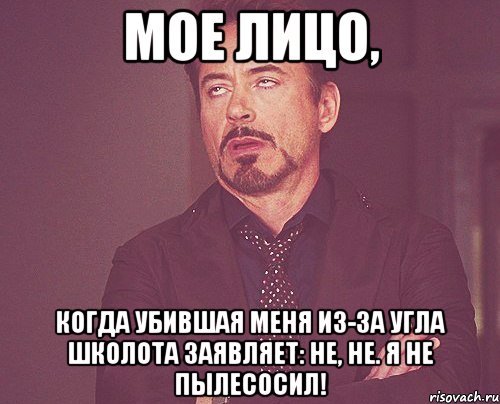 мое лицо, когда убившая меня из-за угла школота заявляет: не, не. я не пылесосил!, Мем твое выражение лица