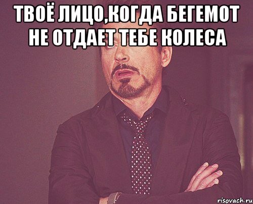 твоё лицо,когда бегемот не отдает тебе колеса , Мем твое выражение лица