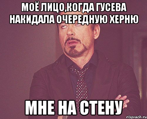 моё лицо,когда гусева накидала очередную херню мне на стену, Мем твое выражение лица