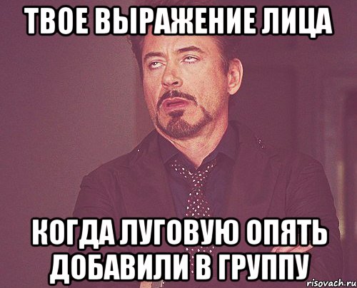 твое выражение лица когда луговую опять добавили в группу, Мем твое выражение лица