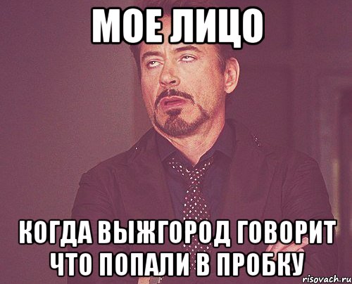 мое лицо когда выжгород говорит что попали в пробку, Мем твое выражение лица