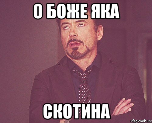 о боже яка скотина, Мем твое выражение лица