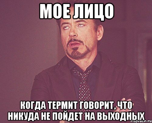 мое лицо когда термит говорит, что никуда не пойдет на выходных, Мем твое выражение лица