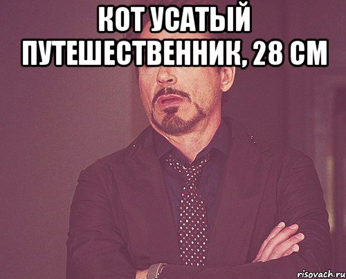 кот усатый путешественник, 28 см , Мем твое выражение лица
