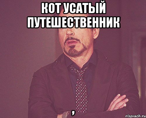 кот усатый путешественник ,, Мем твое выражение лица