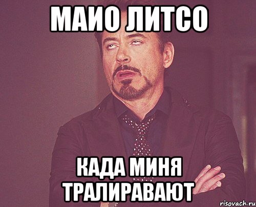 маио литсо када миня тралиравают, Мем твое выражение лица