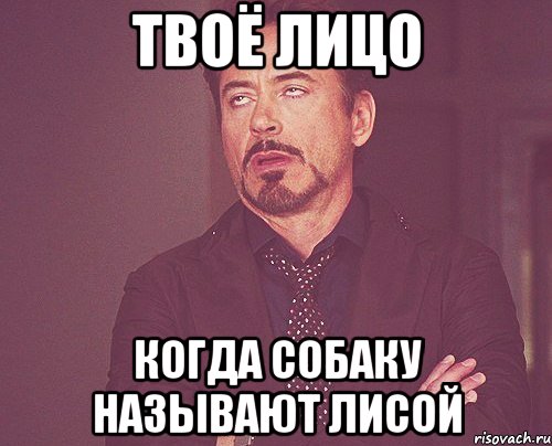 твоё лицо когда собаку называют лисой, Мем твое выражение лица
