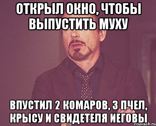 открыл окно, чтобы выпустить муху впустил 2 комаров, 3 пчел, крысу и свидетеля иеговы, Мем твое выражение лица