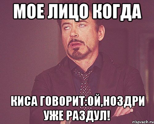 мое лицо когда киса говорит:ой,ноздри уже раздул!, Мем твое выражение лица