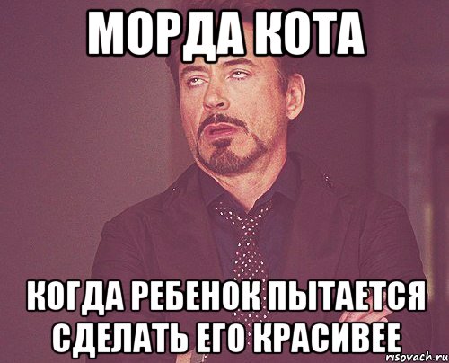 морда кота когда ребенок пытается сделать его красивее, Мем твое выражение лица