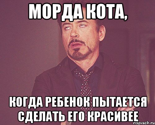 морда кота, когда ребенок пытается сделать его красивее, Мем твое выражение лица