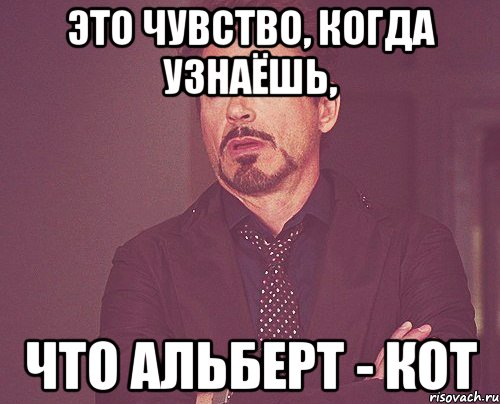 это чувство, когда узнаёшь, что альберт - кот, Мем твое выражение лица
