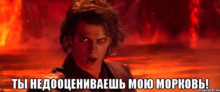  ты недооцениваешь мою морковь!