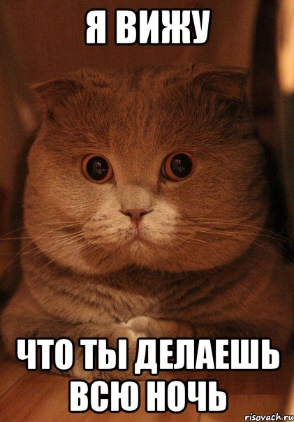 я вижу что ты делаешь всю ночь, Мем укпупуп