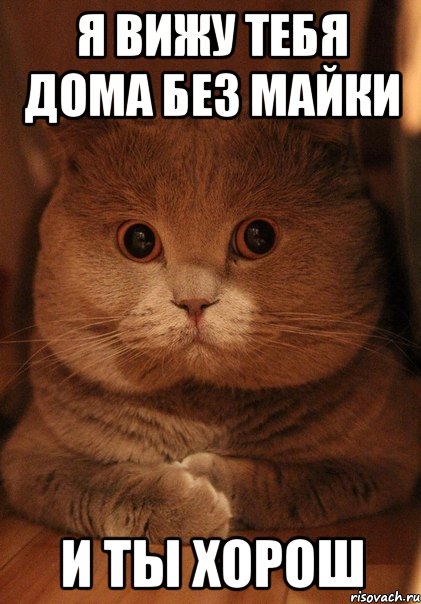 я вижу тебя дома без майки и ты хорош, Мем укпупуп