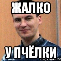 жалко у пчёлки