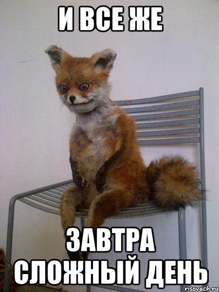 и все же завтра сложный день, Мем Упоротая лиса