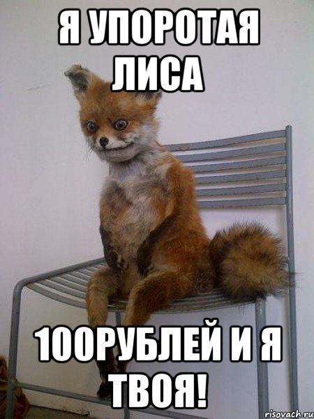 я упоротая лиса 100рублей и я твоя!, Мем Упоротая лиса