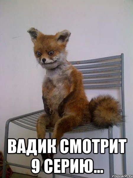  вадик смотрит 9 серию..., Мем Упоротая лиса
