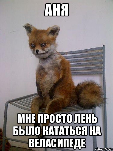 аня мне просто лень было кататься на веласипеде, Мем Упоротая лиса