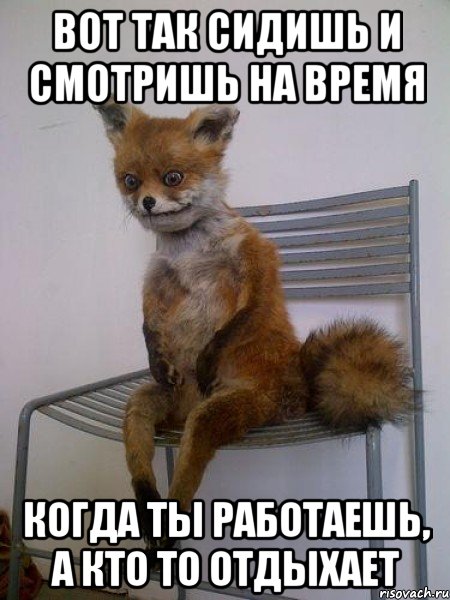 вот так сидишь и смотришь на время когда ты работаешь, а кто то отдыхает, Мем Упоротая лиса