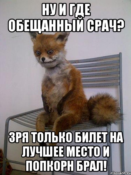 ну и где обещанный срач? зря только билет на лучшее место и попкорн брал!, Мем Упоротая лиса