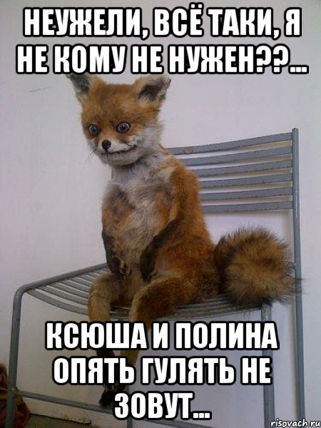 неужели, всё таки, я не кому не нужен??... ксюша и полина опять гулять не зовут..., Мем Упоротая лиса