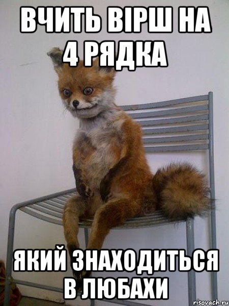 вчить вірш на 4 рядка який знаходиться в любахи, Мем Упоротая лиса