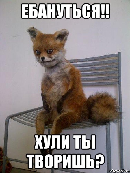 ебануться!! хули ты творишь?, Мем Упоротая лиса