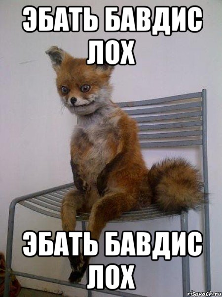 эбать бавдис лох эбать бавдис лох, Мем Упоротая лиса