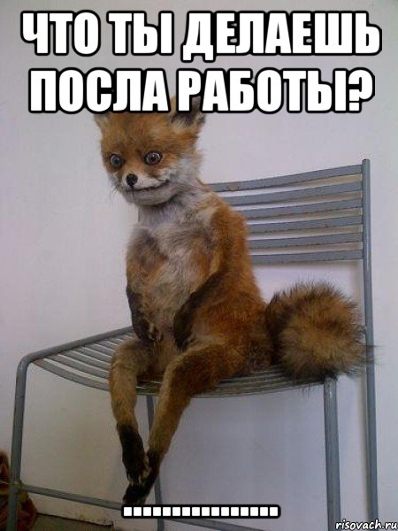 что ты делаешь посла работы? ................, Мем Упоротая лиса