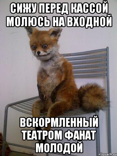 сижу перед кассой молюсь на входной вскормленный театром фанат молодой, Мем Упоротая лиса