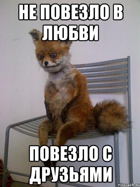не повезло в любви повезло с друзьями, Мем Упоротая лиса