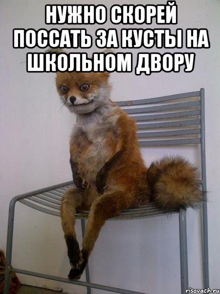 нужно скорей поссать за кусты на школьном двору , Мем Упоротая лиса
