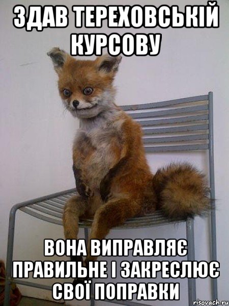 здав тереховській курсову вона виправляє правильне і закреслює свої поправки, Мем Упоротая лиса