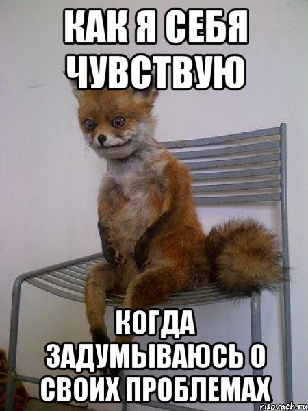 как я себя чувствую когда задумываюсь о своих проблемах, Мем Упоротая лиса