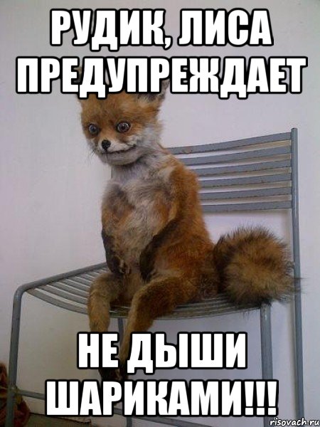 рудик, лиса предупреждает не дыши шариками!!!, Мем Упоротая лиса