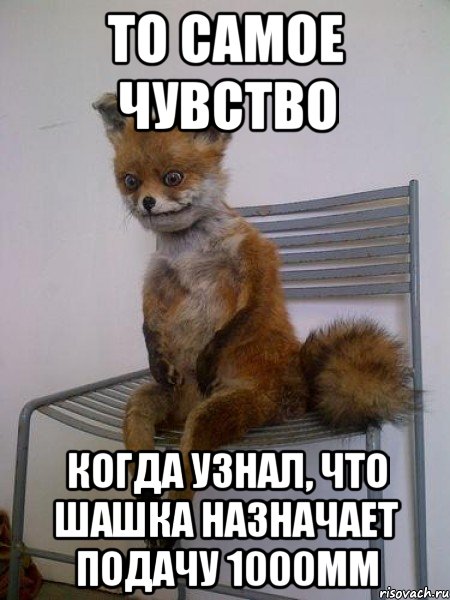 то самое чувство когда узнал, что шашка назначает подачу 1000мм, Мем Упоротая лиса