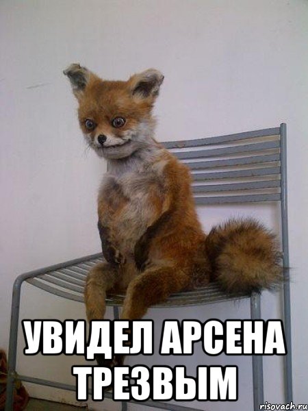  увидел арсена трезвым, Мем Упоротая лиса