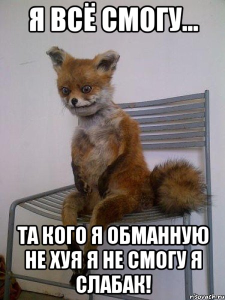я всё смогу... та кого я обманную не хуя я не смогу я слабак!, Мем Упоротая лиса