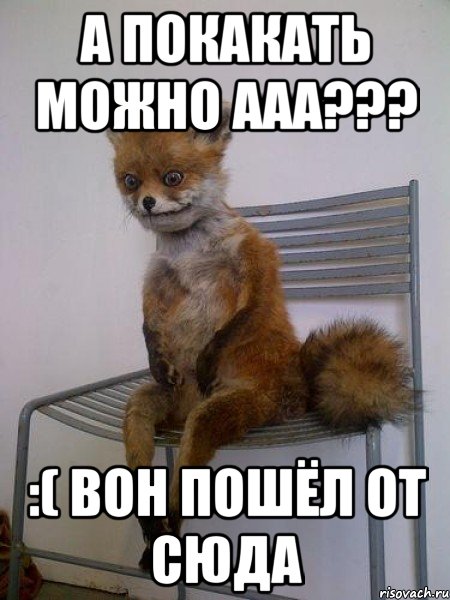 а покакать можно ааа??? :( вон пошёл от сюда, Мем Упоротая лиса