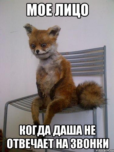 мое лицо когда даша не отвечает на звонки, Мем Упоротая лиса