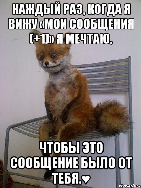 каждый раз, когда я вижу «мои сообщения (+1)» я мечтаю, чтобы это сообщение было от тебя.♥, Мем Упоротая лиса